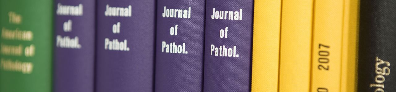 Unsere Publikationen (copyright Pathologie 2010)