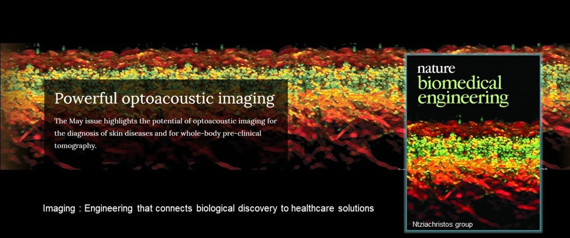 Cover of Nature Biomedical Engineering