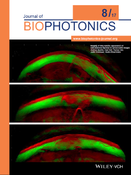 Journal of Biophotonics, Volume 10, Issue 8